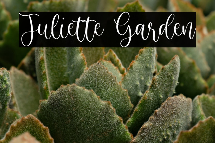 Juliette Garden Example 2