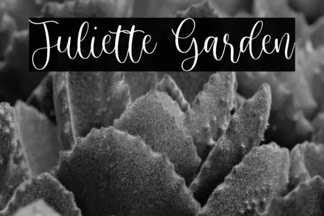Juliette Garden Font examples