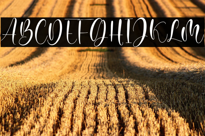 Juliette Michel Example 1