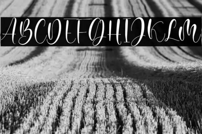 Juliette Michel Font examples