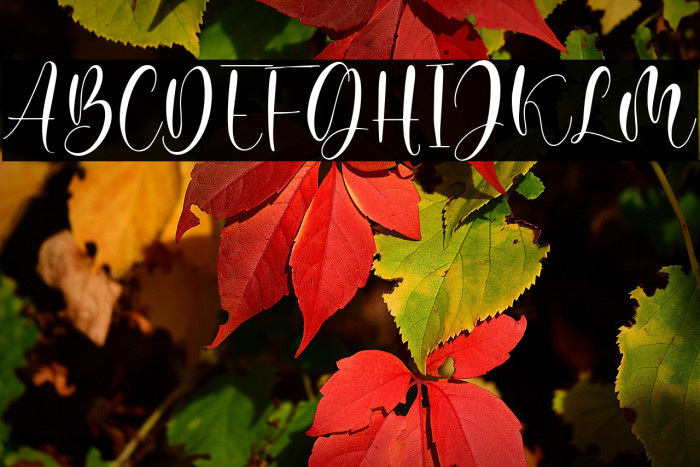 Juliette Michel Example 3