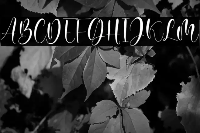 Juliette Michel Font examples