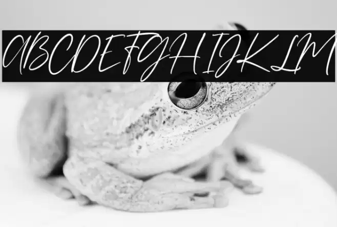 Juliette Font examples