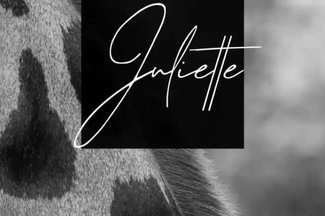 Juliette Font examples