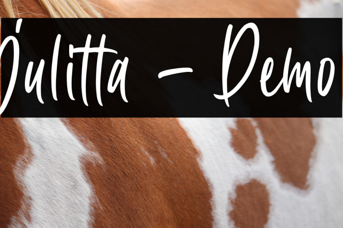 Julitta - Demo Example 2