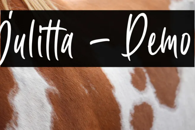 Julitta - Demo Example 2
