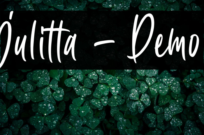 Julitta - Demo Example 3