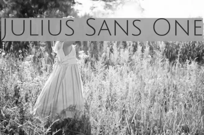 Julius Sans One Polices examples