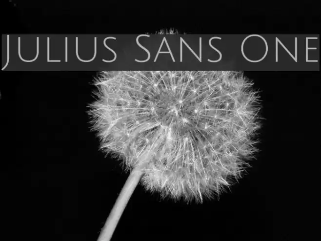 Julius Sans One Polices examples