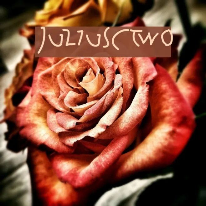 JuliusCTwo Example 3