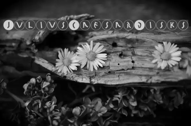 JuliusCaesarDisks Font examples