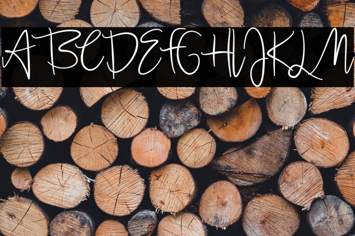 Jullia Script Personal Use Only Example 2