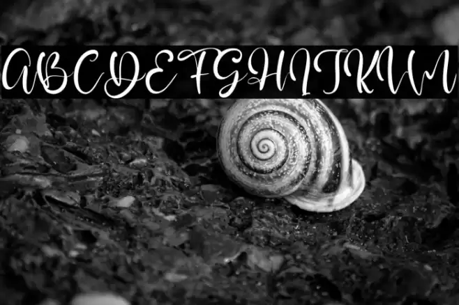 Jullia Vella Font examples