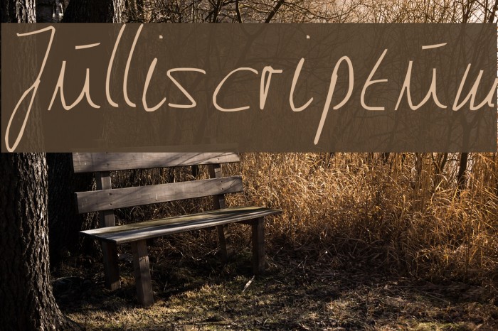 Julliscriptum Example 2