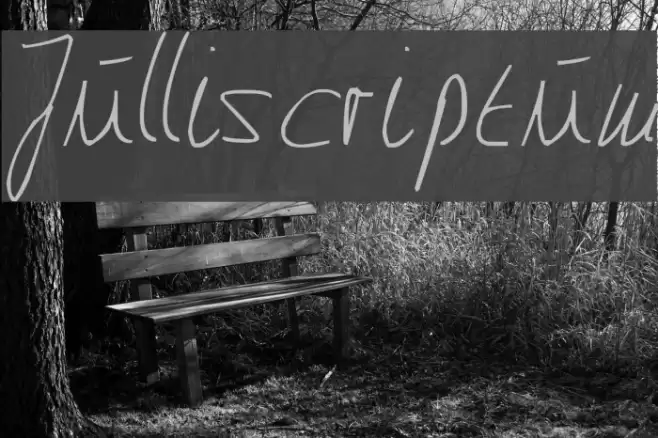 Julliscriptum Font examples