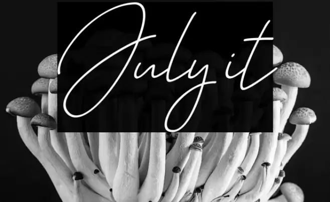 July it Font examples