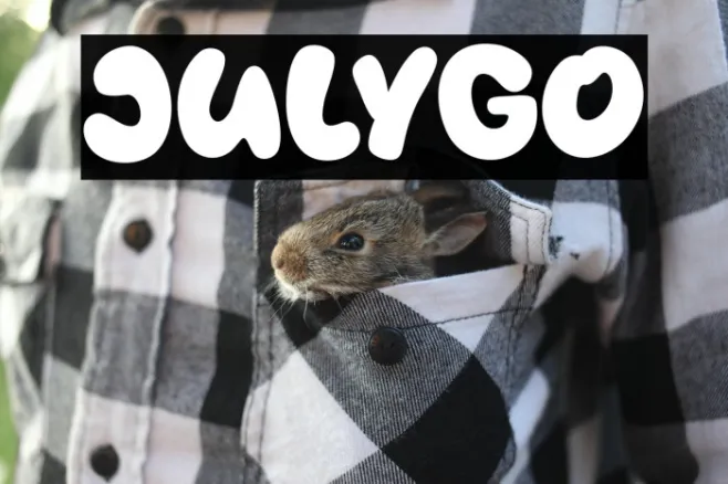 Julygo Example 1