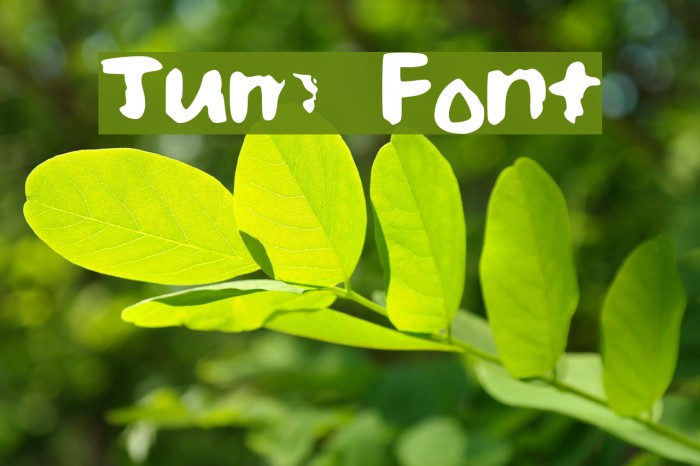 Jum Font examples