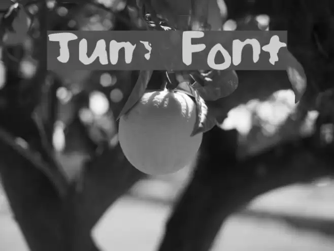 Jum Font examples