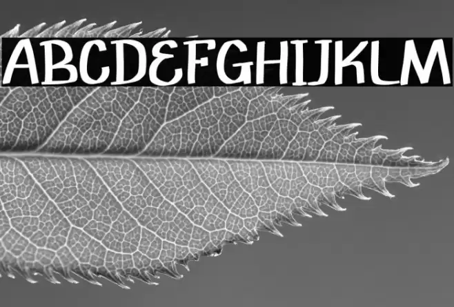 Jumawa Alone 字体 examples