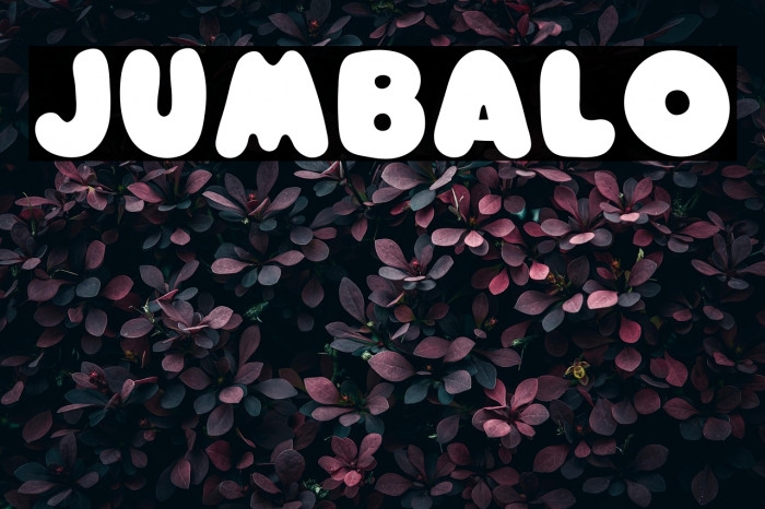 Jumbalo Example 3