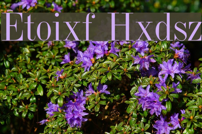 Jumble Plain Example 3