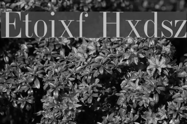 Jumble Plain Font examples