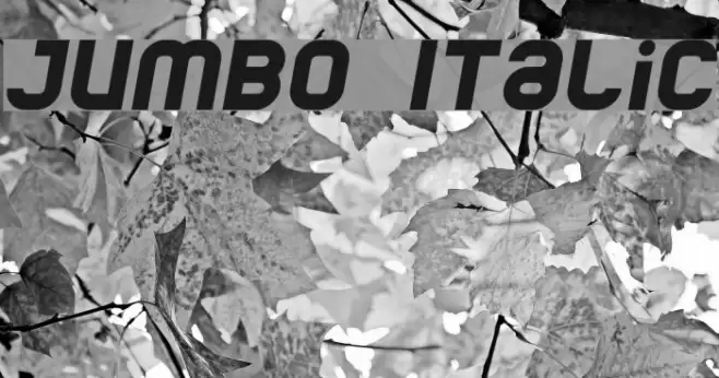 Jumbo Italic Font examples