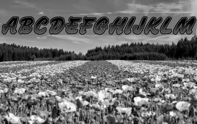 Jumbo Parade Font examples