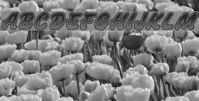 Jumbo Parade Font examples