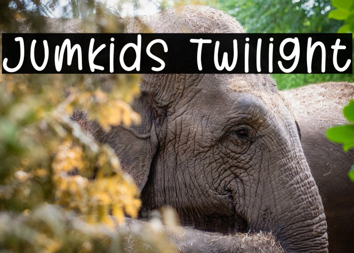 Jumkids Twilight Example 3