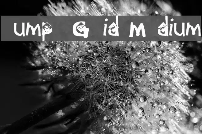 Jump & Grid Medium फ़ॉन्ट examples