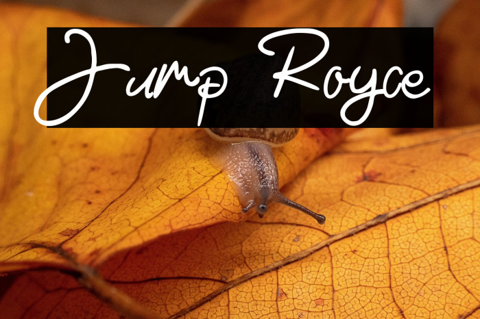 Jump Royce Example 3