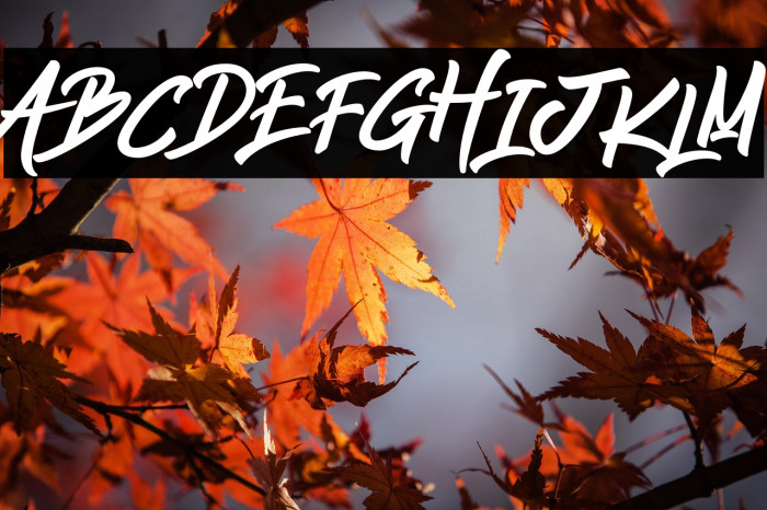 Jump Streets Example 2