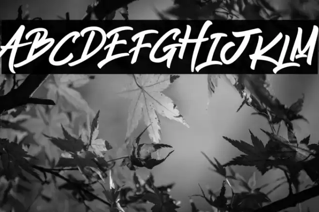 Jump Streets Fuentes examples