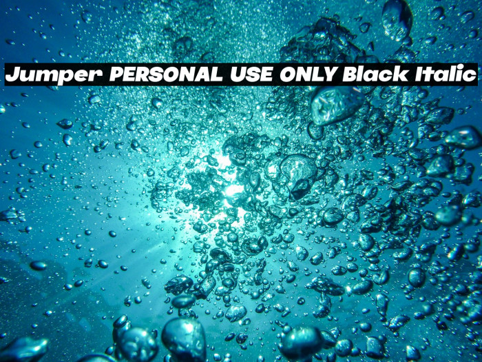 Jumper PERSONAL USE ONLY Black Italic Example 1