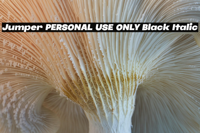 Jumper PERSONAL USE ONLY Black Italic Example 2