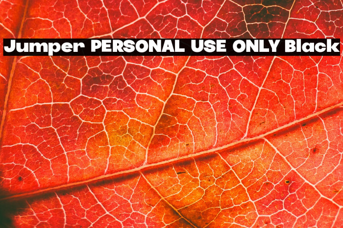 Jumper PERSONAL USE ONLY Black Example 1