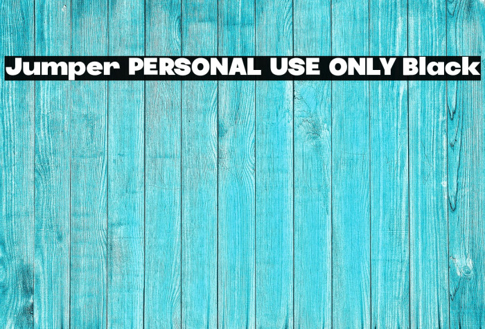 Jumper PERSONAL USE ONLY Black Example 2