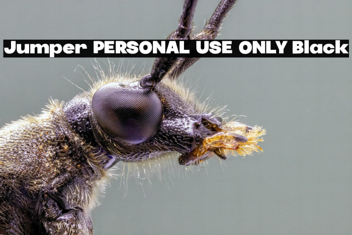 Jumper PERSONAL USE ONLY Black Example 3