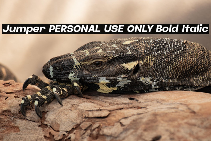 Jumper PERSONAL USE ONLY Bold Italic Example 1