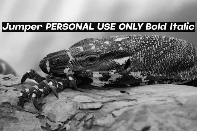 Jumper PERSONAL USE ONLY Bold Italic Font examples