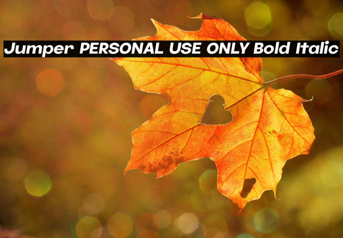 Jumper PERSONAL USE ONLY Bold Italic Example 2