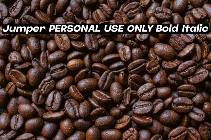 Jumper PERSONAL USE ONLY Bold Italic Example 3