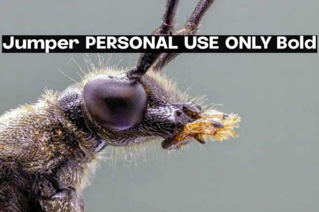 Jumper PERSONAL USE ONLY Bold Example 2