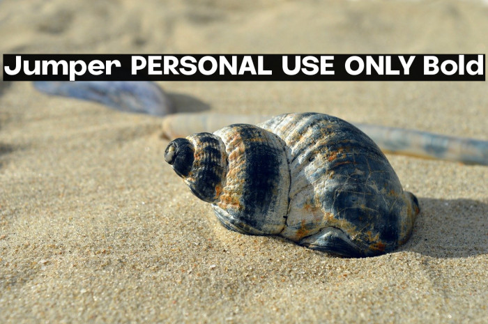 Jumper PERSONAL USE ONLY Bold Example 3