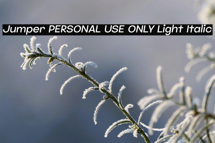 Jumper PERSONAL USE ONLY Light Italic Example 2