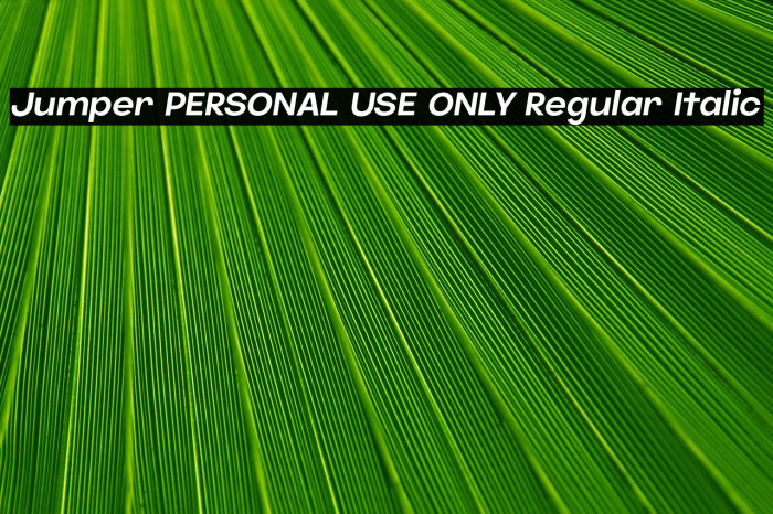 Jumper PERSONAL USE ONLY Regular Italic Example 2