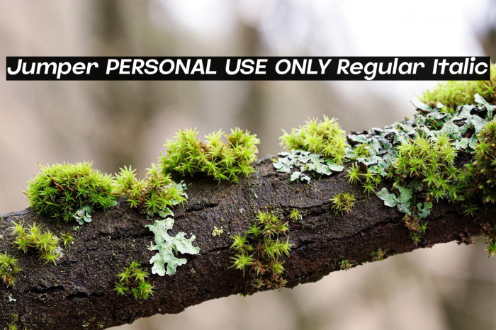 Jumper PERSONAL USE ONLY Regular Italic Example 3