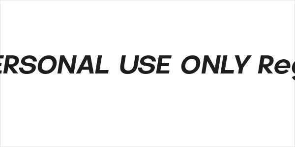 Jumper PERSONAL USE ONLY Regular Italic Logo